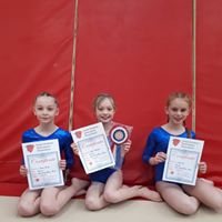 Essex county 2017 grade 1 passed with distinction for Jazz, Leela and Liani.